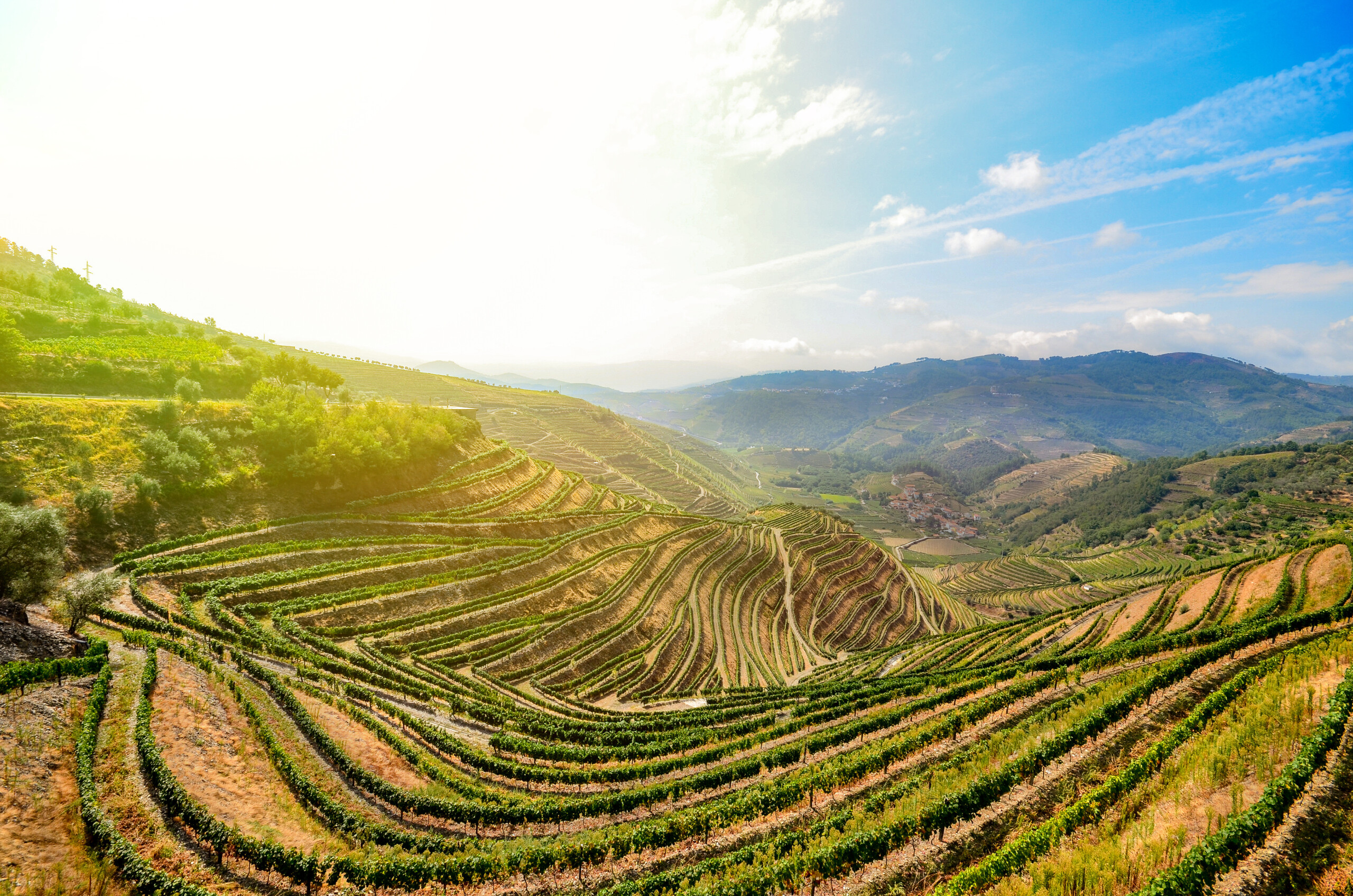 Douro Valley Full-Day Tour